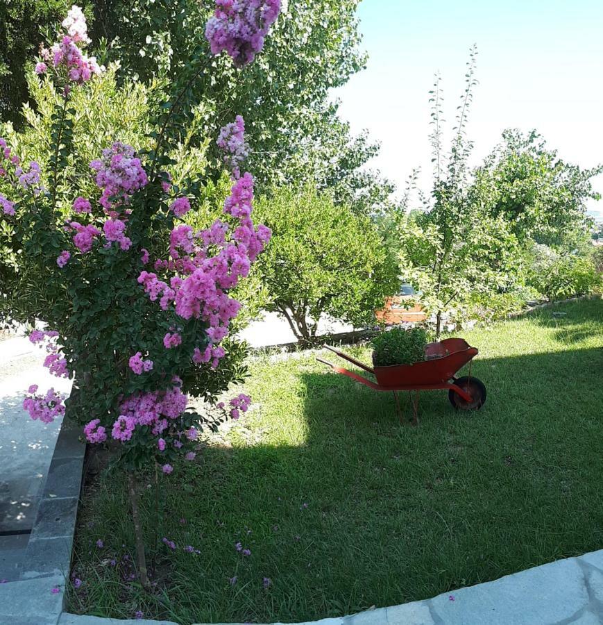 Studios Thea Fresh Rooms Thassos Exterior photo